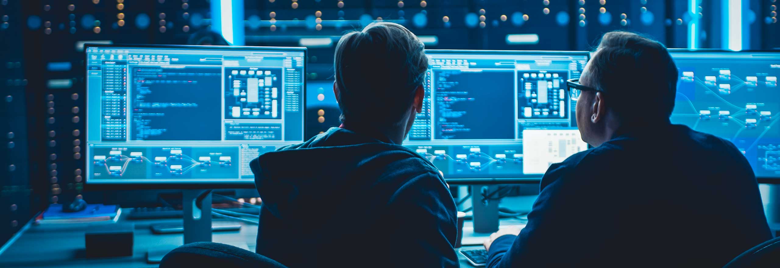 两个人在电脑屏幕上比较笔记、图表和数字